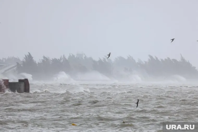Огромные волны от тайфуна «Яги» обрушиваются на берег в городском округе Путянь китайской провинция Хайнань