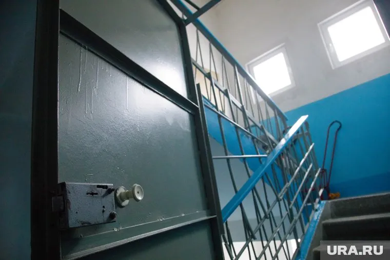 Кирсановы не смогли выселить Эльмана Пашаева из квартиры