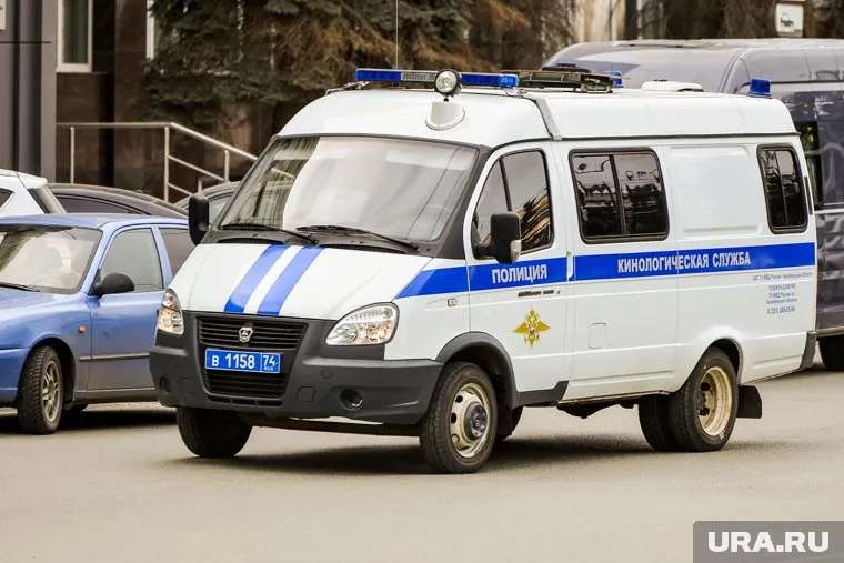 Погибшую в Каменске-Уральском девочку мог убить велосипедист