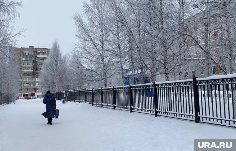 Классного руководителя восьмиклассников, устроивших поножовщину, уволили