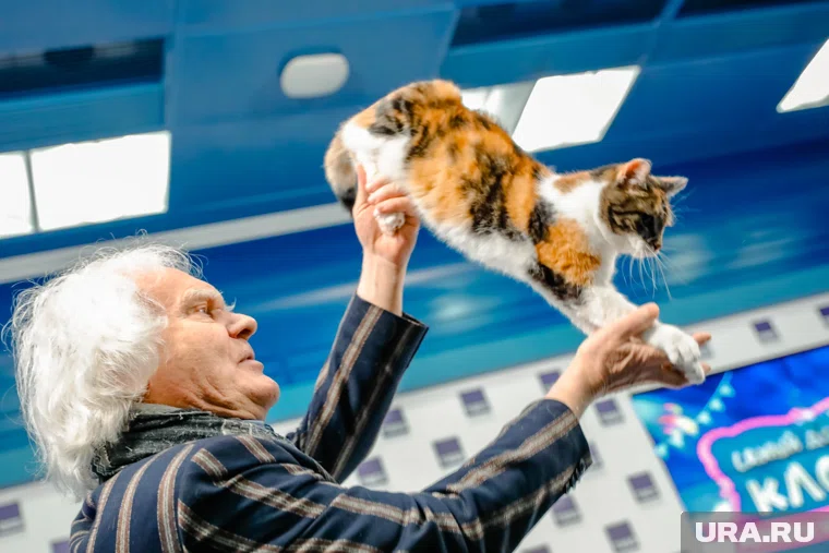 Юрий Куклачев сейчас готовит новое шоу с кошками