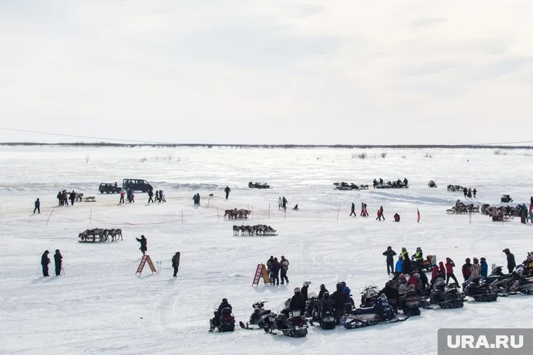 Экс-глава югорского депздрава посетил Сеяху, архивное фото