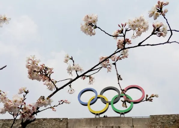 Фотография из галереи