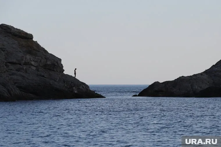 Поводом для возбуждения дело стало перекрытие Северо-Крымского канала в апреле 2014 года