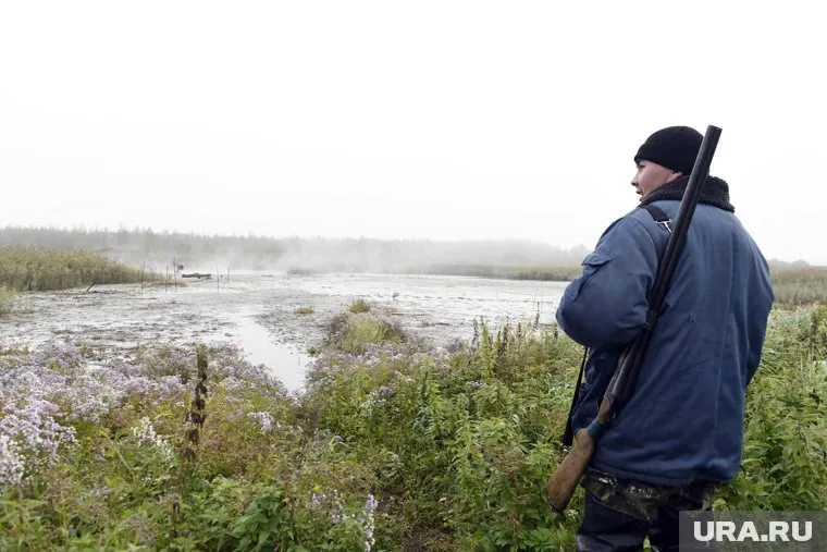 Охотники Челябинской области смогут стрелять в серую ворону