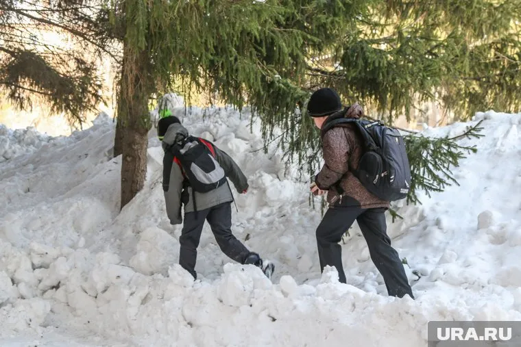 В Кургане после объединения школ первоклассникам придется сменить учебное заведение