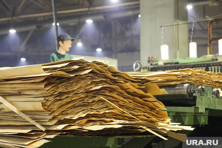 ООО «Кама» теперь принадлежит компании «Свеза»