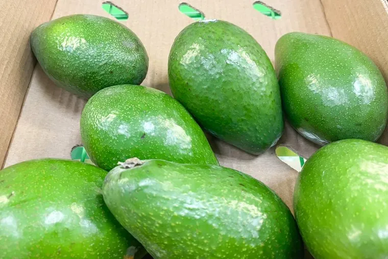 Фрукты. Челябинск