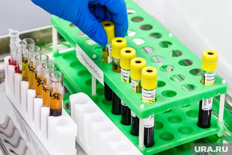 Срок выполнения теста будет составлять 1 сутки