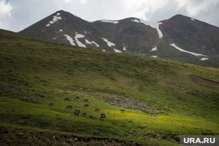 Одним из новых направлений для туристов может стать Северный Кавказ