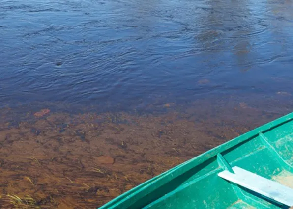 Фотография из галереи