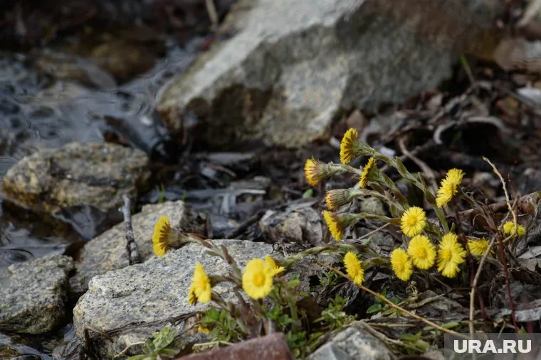 В субботу возможен небольшой дождь, отмечает синоптик Алексей Пулин
