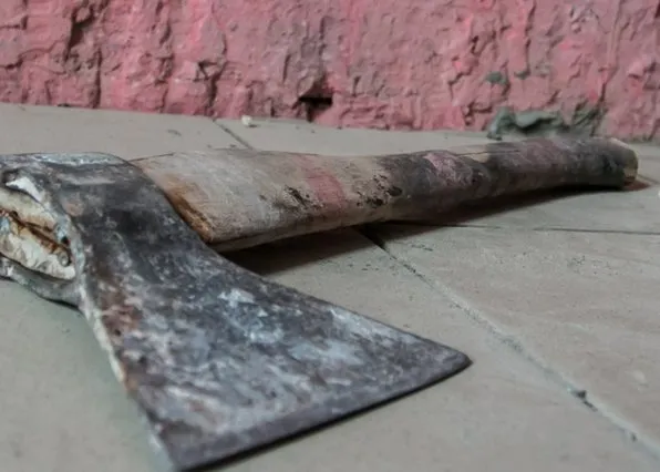 Фотография из галереи