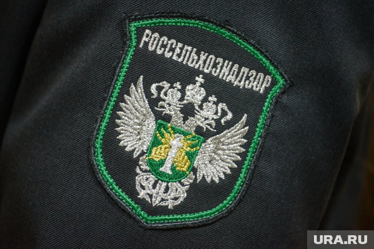 В Кургане производителя продуктов питания поймали на серьезных санитарных нарушениях
