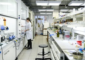 Тюменские ученые открыли новый микроорганизм