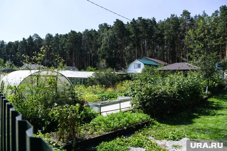 В Сургуте дачные районы неподалеку от реки Почекуйка, в сторону Лянтора, Белого яра самые востребованные