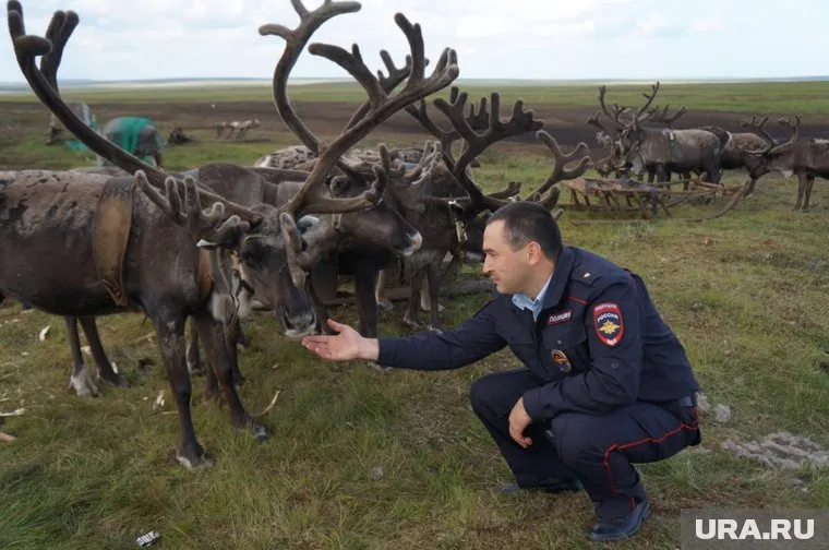 Полицейский, погибший при исполнении, был награжден медалью "За мужество" (посметрно)