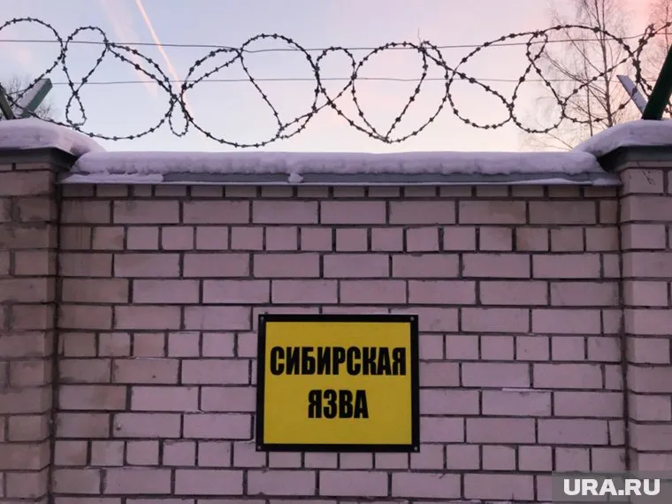 В зоне скотомогильников с сибирской язвой разрешена жилая застройка