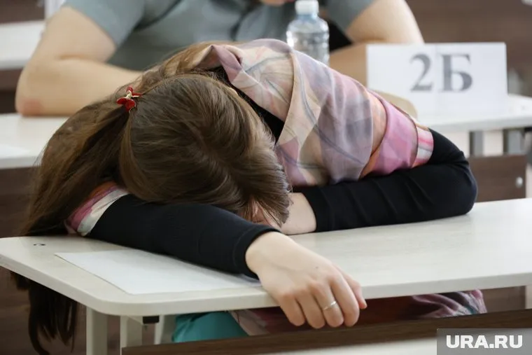 В Шадринске ученик набрал 100 баллов за решение задач ЕГЭ по химии