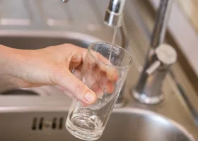 Фотография из галереи