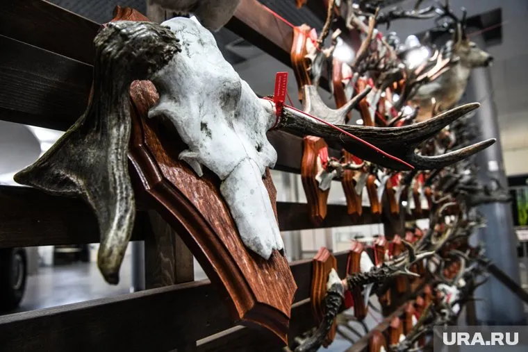 Незаконные религиозные обряды заинтересовали СК