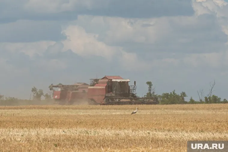 Депутат Сергей Лисовский перечислил проблемы, которые грозят аграриям в 2023 году
