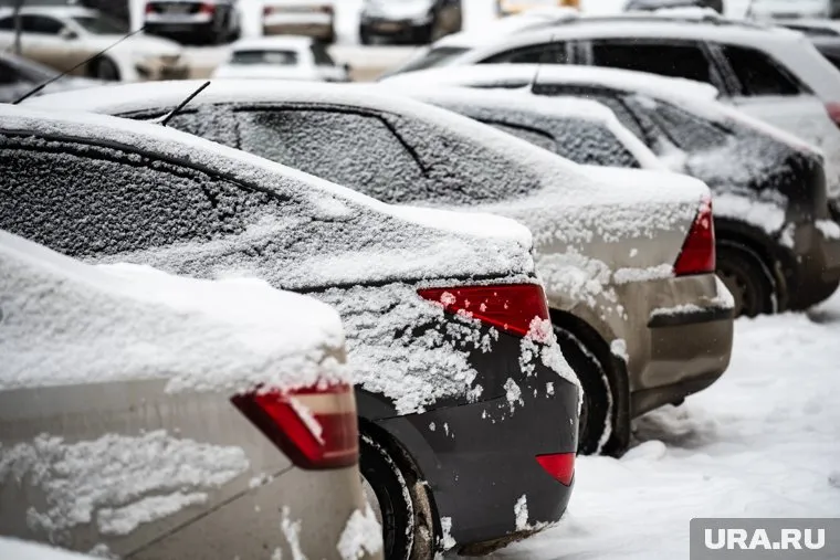 Акция прошла на парковке у пермского ТРЦ 23 декабря