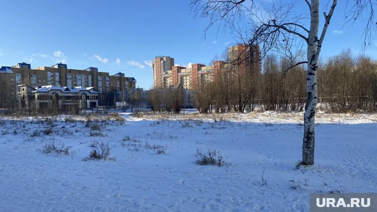 Школу на Рябиновом бульваре должны были сдать в этом году, но ее так и не начали строить