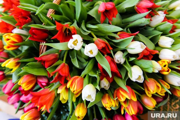 8 марта можно провести в путешествиях по России