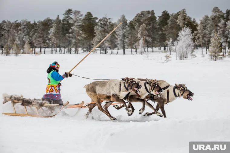 В ответ спикер думы попросил его обеспечить транспортную доступность