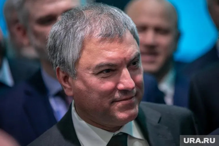 Вячеслав Володин рассмеялся в ответ на предложение организовать трансляцию заседаний Госдумы в «местах для размышлений»