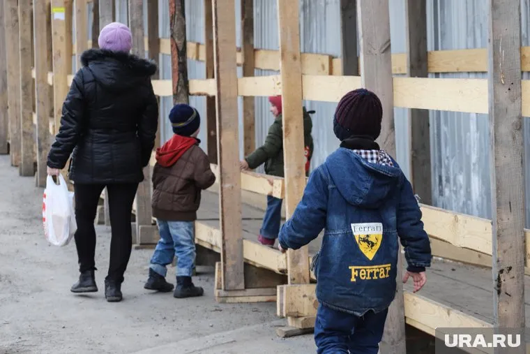 Женщина пожаловалась чиновникам на дистант