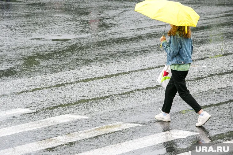Во второй половине дня пермякам может пригодиться зонт
