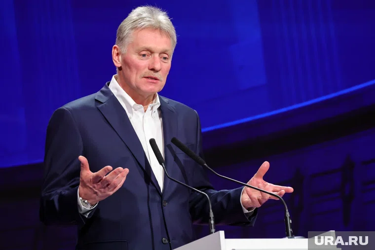 Песков назвал смерти детей в роддоме Новокузнецка большим горем