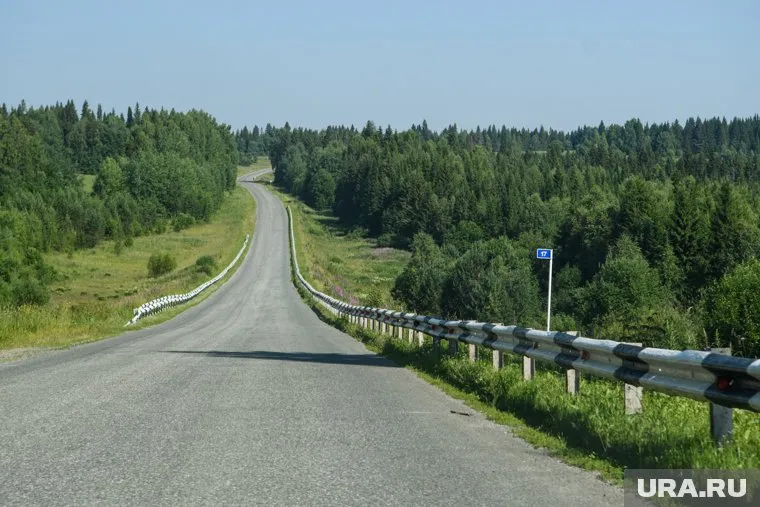Животные выходят из леса на трассы и провоцируют ДТП