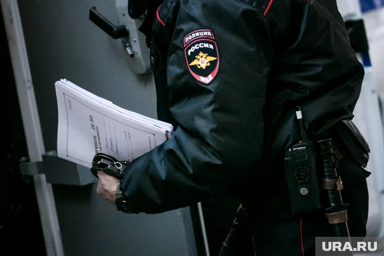 Следователи и полиция задержали жителя Подольска, призывавшего к терактам