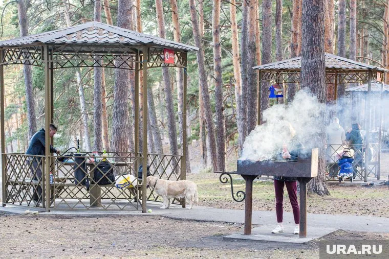 В лесах для всех жителей Тюмени оборудовано всего 70 мангальных зон