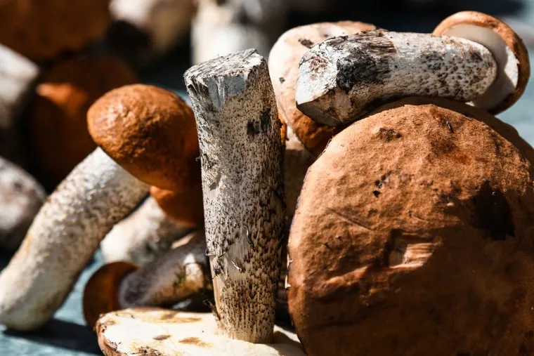 Клипарт. Екатеринбург 