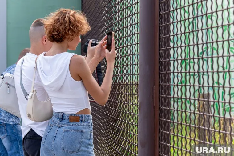 Медведицу аккуратно убеждали покинуть вольер и зайти в специальный транспортировочный контейнер несколько часов