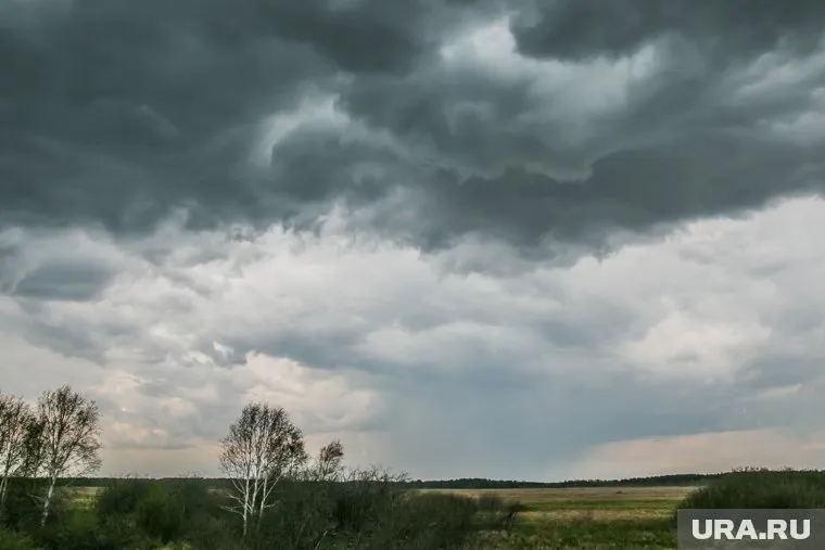 Ухудшение погоды в Курганской области ожидается восьмого октября
