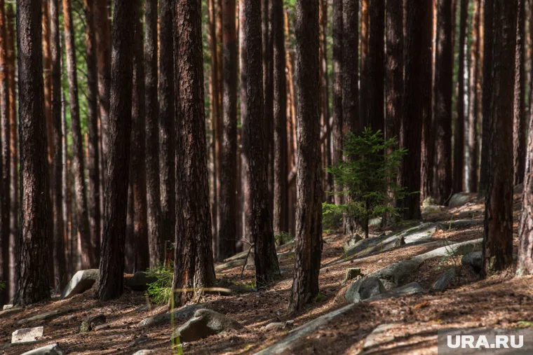 Деятельность майнинг-фермы остановлена, а вся аппаратура изъята