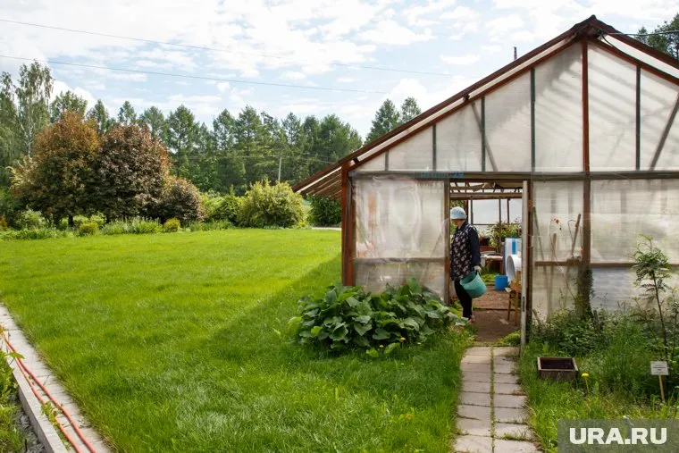 Если у теплиц нет капитального фундамента, то их не обложат налогом