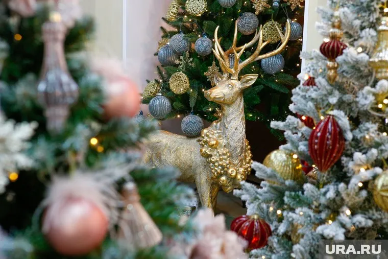 За отказ от новогодних праздников выступили 51% екатеринбуржцев