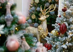 Половина екатеринбуржцев поддержали отмену новогодних гуляний