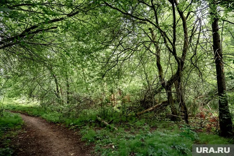 На платформе был запущен специальный калькулятор, который показывает пользователям, сколько ресурсов удалось сохранить