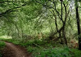 Перепродажа товаров сократила выбросы газов в России на 237 миллионов тонн за 17 лет