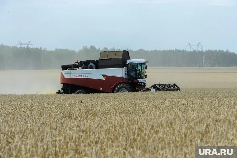 Возвращено в строй 123 тысячи гектаров пахотных земель