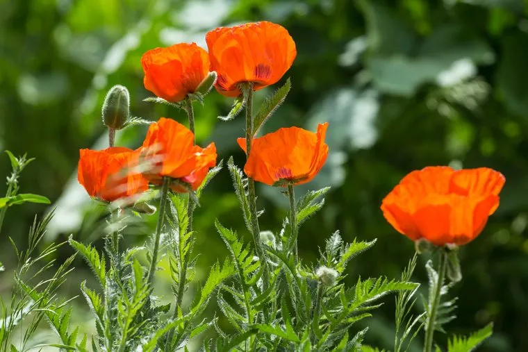 Клипарт. Магнитогорск