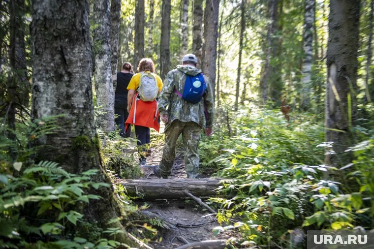 Курганские леса запрещено посещать до 12 мая