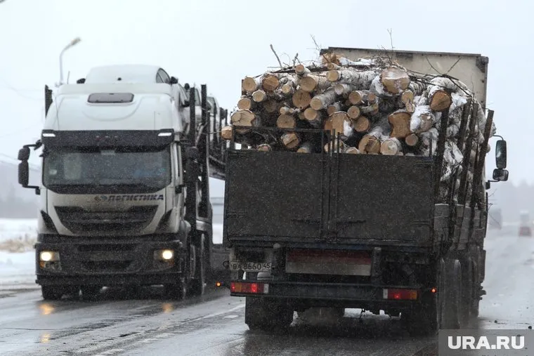 Тюменский бизнесмен пойдет под суд за контрабанду леса